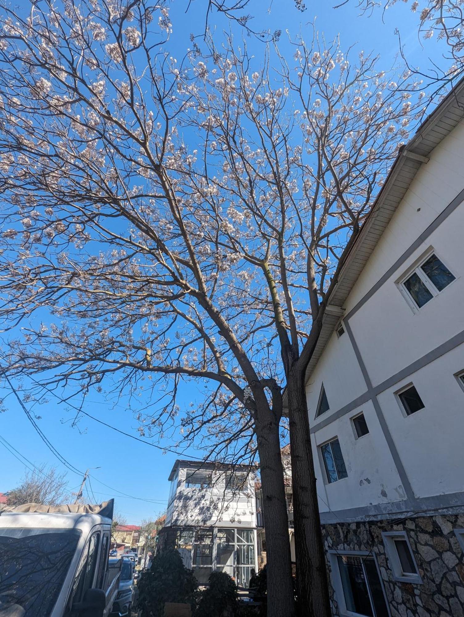 Bam Hotel Vama Veche Kültér fotó
